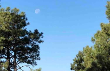 BEAUTIFUL Rustic Modern Remodel IDEAL Location!! - Foto 43