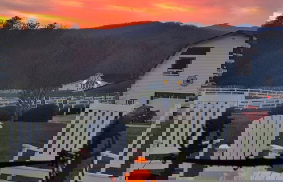 The Horse Shoe Farm - Foto 47