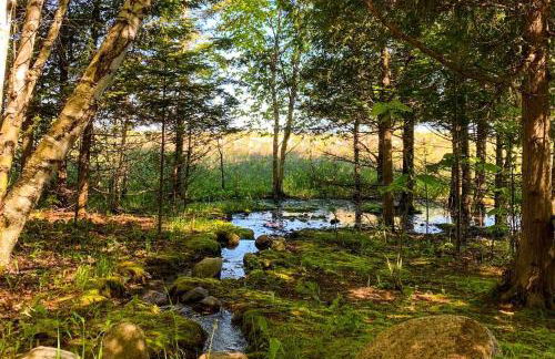 Cranmer Hearth Lakehouse - Foto 20