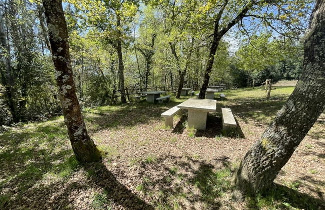 Villa in Ourense With Views - Foto 40