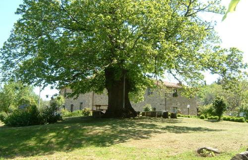 Antico Casale Pozzuolo - Foto 8
