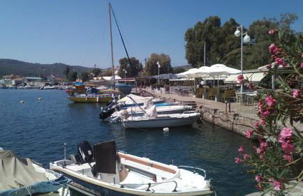 Studios Cosmopolitan - Photo 40