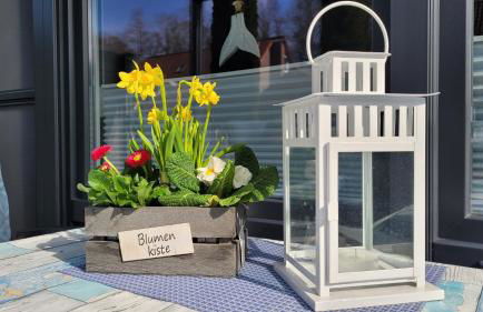 Ankerseele - Photo 6