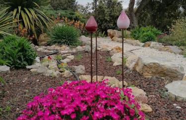 Entre Ciel et Terre - Foto 20