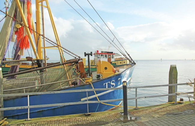 Villa in Midsland Near the Sea - Foto 31