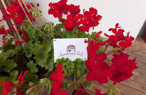 Appartements Toni - Foto 15