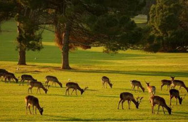 Villa FARO - new house, near beaches, heated pool, playroom, bbq, Salvore - Istria - Foto 73