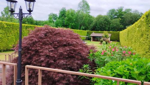 Finca O Loureiro - Foto 4