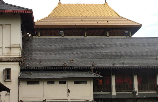 Explore Central Srilanka - Foto 42