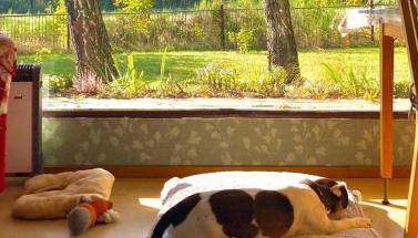 Flämingpanorama - Ländliches Gartenhaus mit Kamin und Naturpanorama - Foto 5