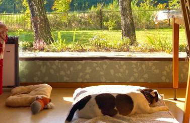 Flämingpanorama - Ländliches Gartenhaus mit Kamin und Naturpanorama - Photo 5