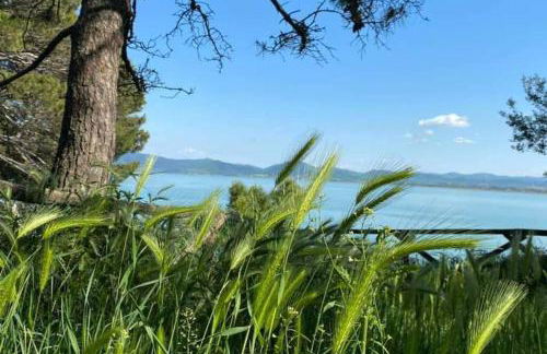 Bellavista la tua romantica vacanza sul Trasimeno - Foto 59