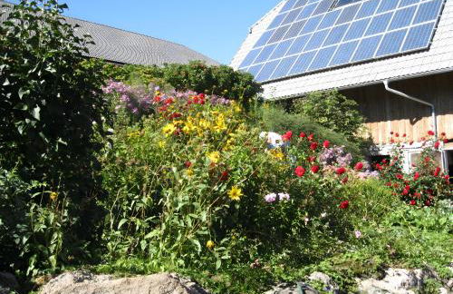 Sigmundenhof Schonach - Foto 11