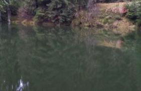 Monteur- und Ferienwohnung Waldrauschen - Foto 59