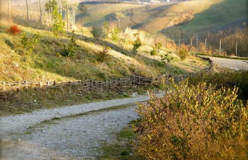 Taverna Centomani - Photo 14