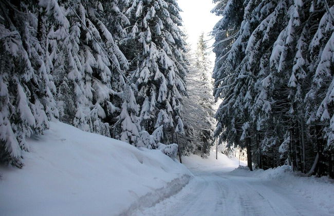 Scenic Farmhouse in Fresach near Lake Millstättersee - Foto 20