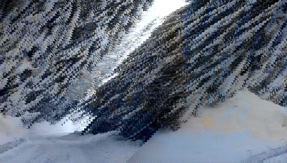 Farmhouse in Fresach Near Millstatt Lake - Foto 1, Imagem principal