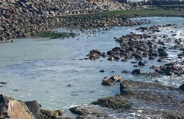 Grand appartement 4 étoiles vue mer et 2 terrasses - Foto 35