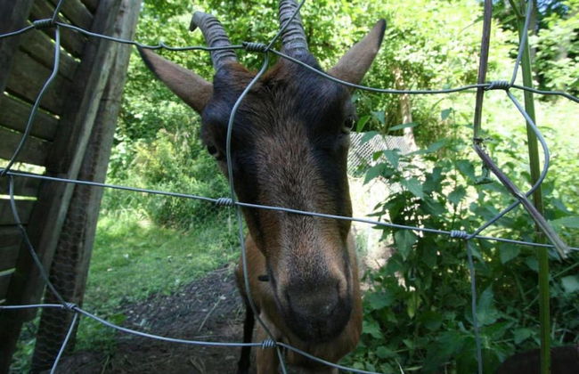 A Cosy Vintage Loft to Discover, Ideal for Exploring the Region by Bike - Foto 39