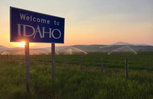 Brand NEW Cabin in the pines - Foto 49