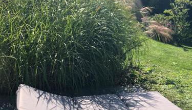 Ferienwohnung mit Terrasse und Garten in Seenähe - Foto 5, Garden, sunbed, Garden view