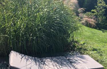 Ferienwohnung mit Terrasse und Garten in Seenähe - Foto 5