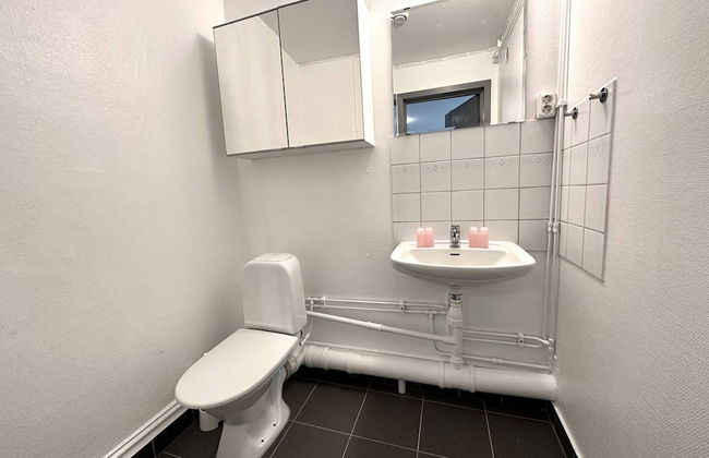 Penthouse in Vasastaden - Photo 19