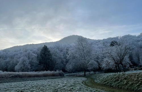 Le Relais du Piémont Ottrott - Mont Sainte-Odile- Champs du feu - Photo 38