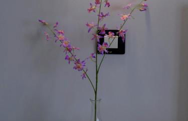 La Palmita - Foto 36