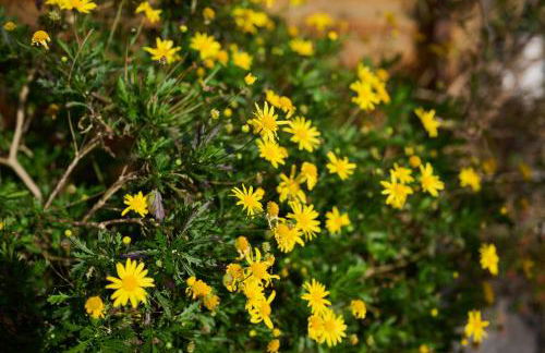 Casas Maravilha by Homie - Photo 61