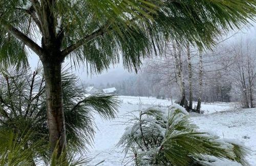 Apartamenty Carpe Diem - Photo 63