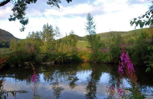 1 Bed in Blacklunans CA361 - Foto 11