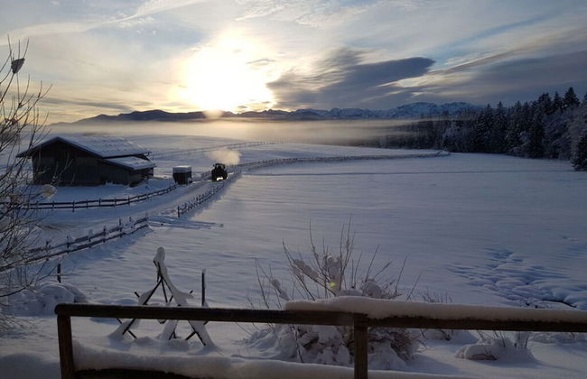 Holiday Apartment Almstuberl - Photo 34