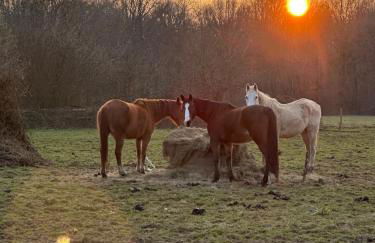 Longère normande avec piscine et jardin - Foto 13