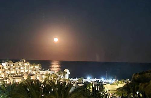 Doña Jimena - Foto 31