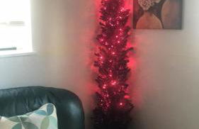 4 Bedroom Vacation House With Pikes Peak view Pet-friendly - Foto 20