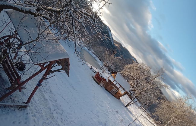 Room in Guest Room - Idylic Family Sejour With Hottube in Green Land - Photo 25