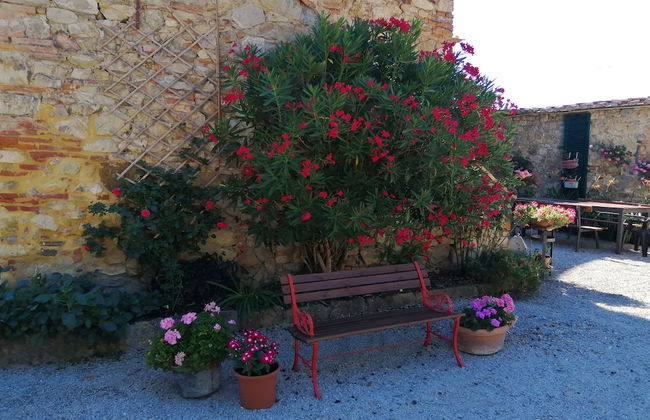 Podere Le Rote Private Farmhouse - Foto 38