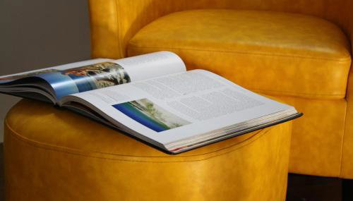 Luxéry Stay Chicago - Themed Units! Close to Downtown, McCormick Place & Wintrust Arena - Foto 5