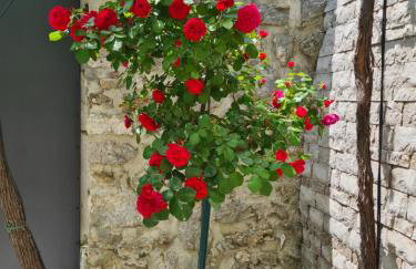 Villa Big Valley - Foto 10