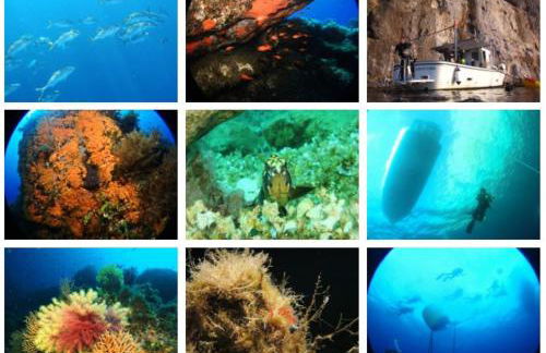 Vista Tavolara - Sardegna Holiday Apartment - Photo 65