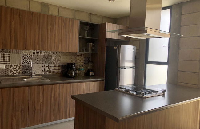 Tribu Centro Histórico - Foto 70