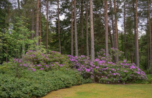 Haven Retreat Scotland - Large 4 Bed House with Woodland garden, Aboyne ,Royal Deeside - Photo 34