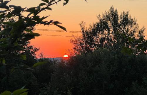 Siedlisko Wyżne - Foto 28