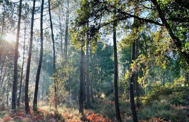 Appart Cosy Green, Océan, Golf, Piscine, Wifi - Foto 58