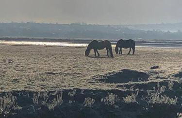 Loughor Annnex, Llangennech , Wales - Foto 14