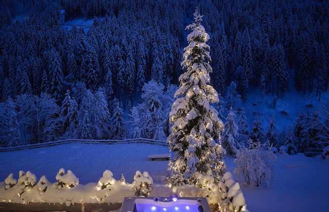 Chalet Tannenbaum - Foto 41