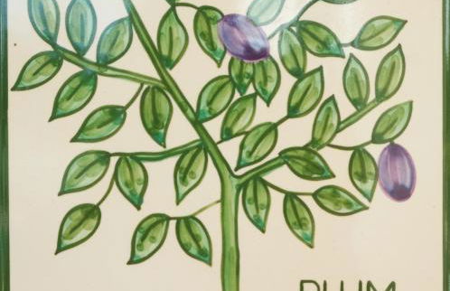 Casa Monte Cristo Apartments - Plum - Foto 1