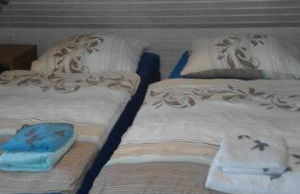 Ferienhaus 55 im Seepark Kirchheim - Photo 15