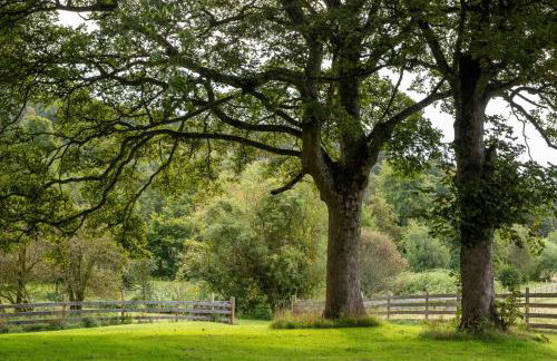 Marcassie Farm Lodges - Willow Studio - Photo 9